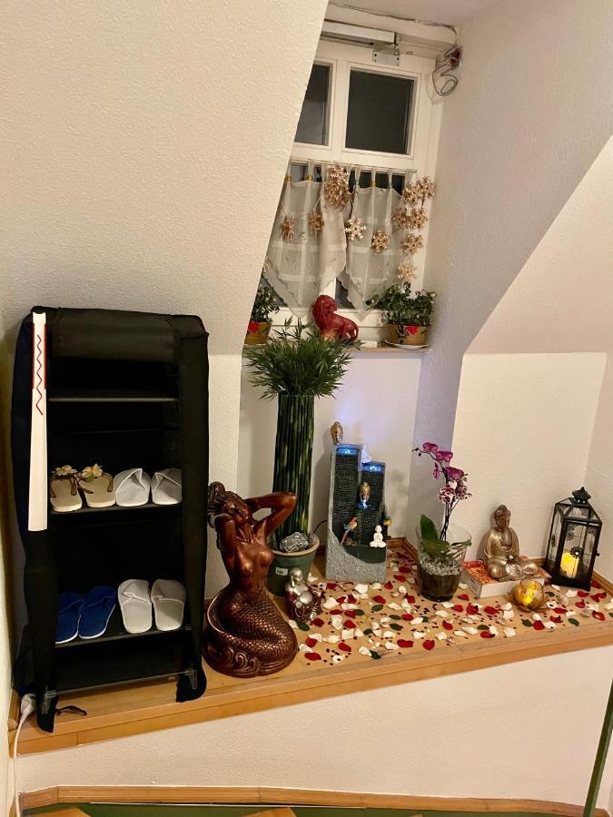 Séjour chez l'habitant Ferienzimmer Healing Und Montuerwohnung Weißenfels