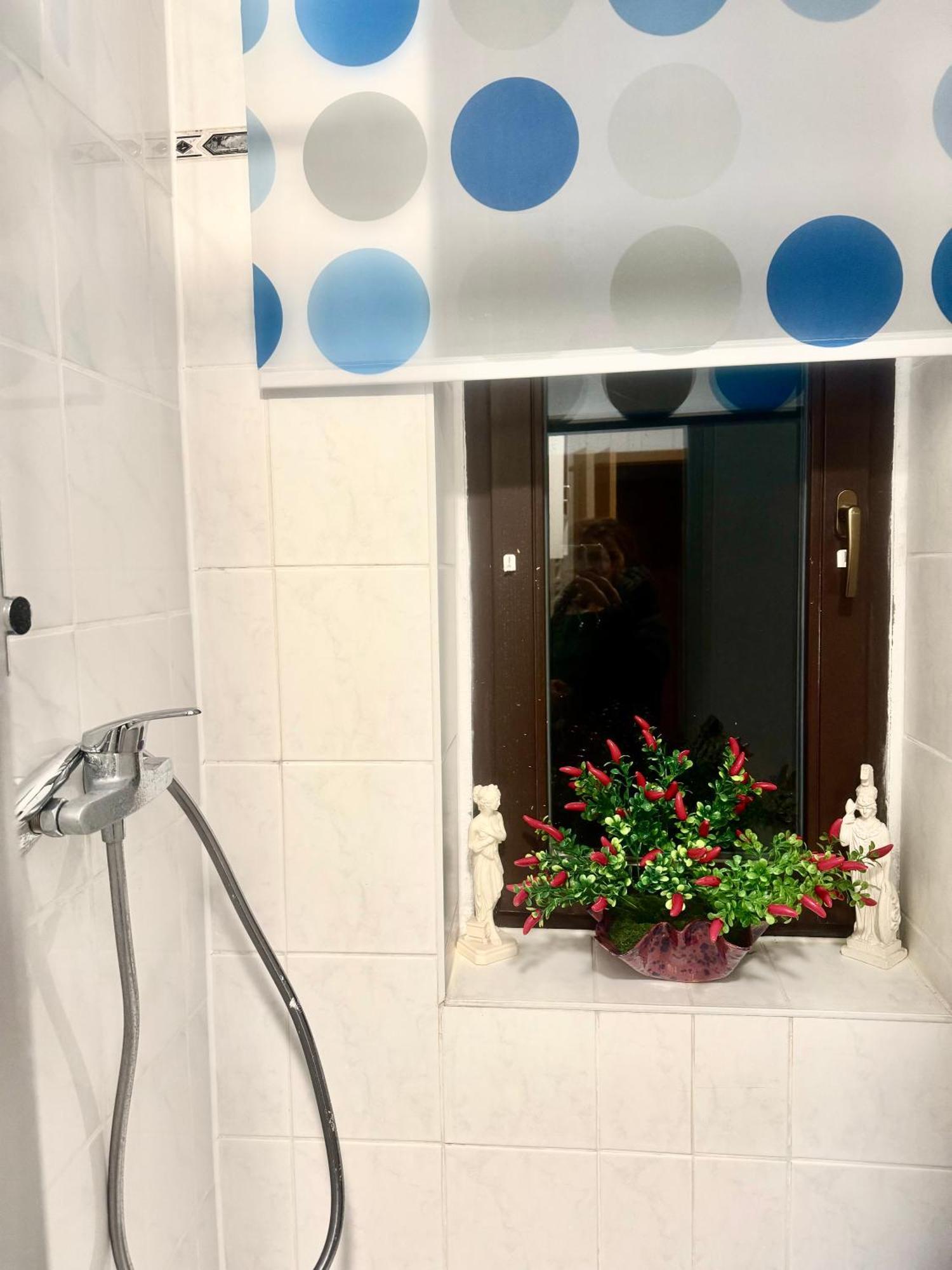 Ferienzimmer Healing Und Montuerwohnung Weißenfels