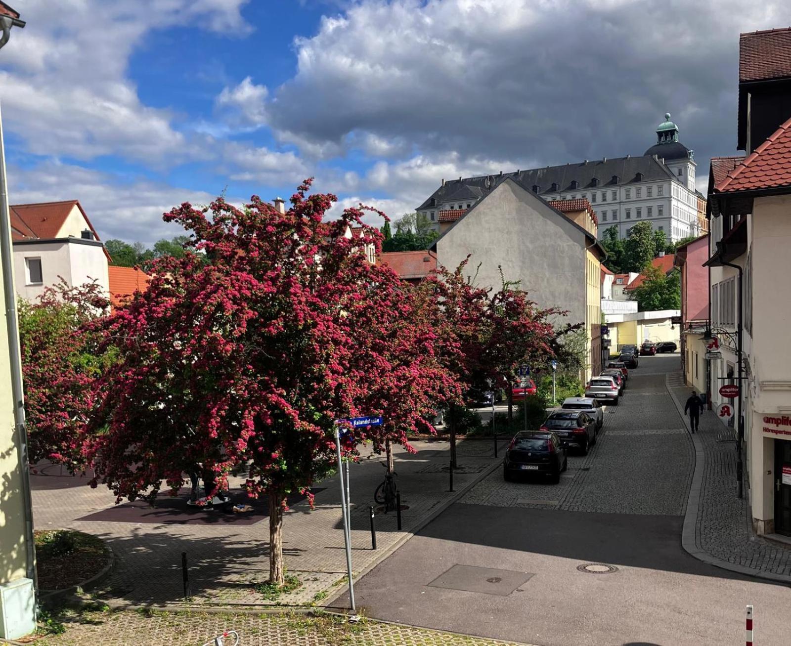Ferienzimmer Healing Und Montuerwohnung *